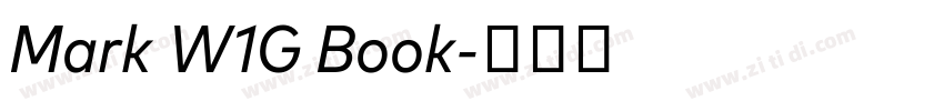 Mark W1G Book字体转换 Mark W1G Book字体转换